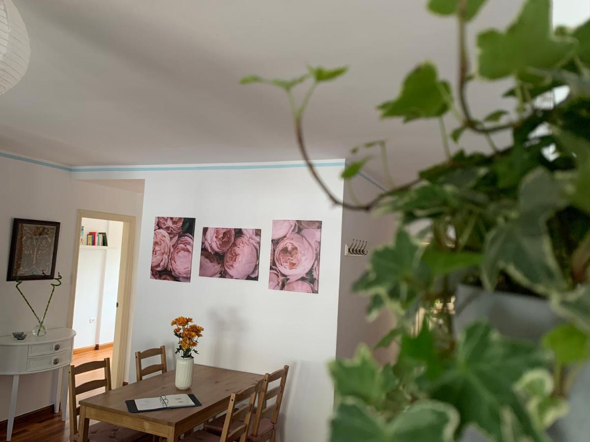 La Casita De Mi Alma - Das Haus Meiner Seele Tegueste Bagian luar foto